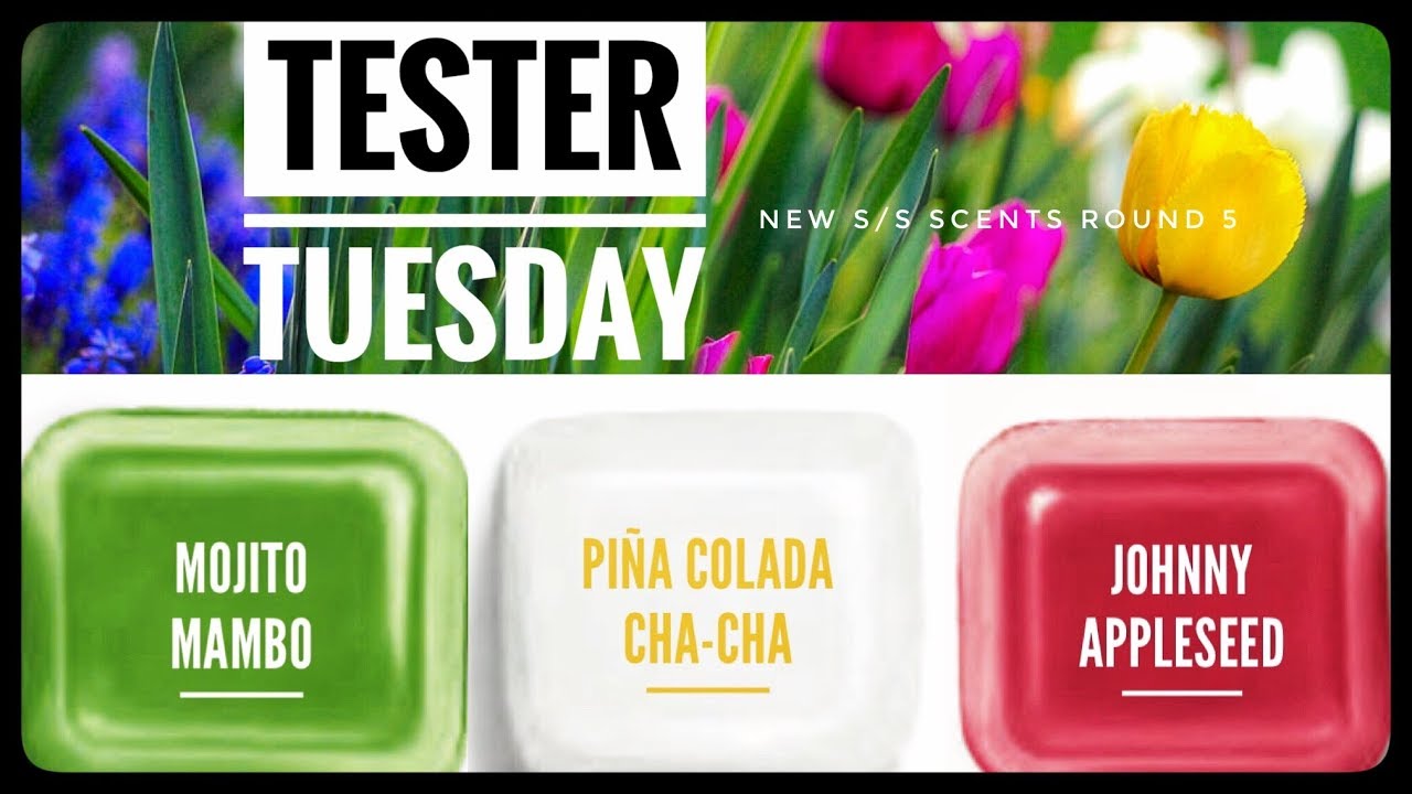 Tester Tuesday Round 5 - New Scentsy Spring Summer Scents 2019