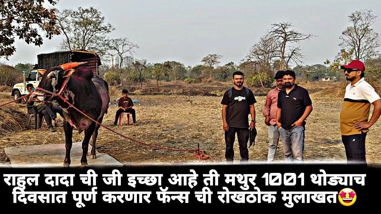 राहुल दादा ची जी इच्छा आहे ती मथुर 1001 थोड्याच दिवसात पूर्ण करणार फॅन्स ची रोखठोक मुलाखत🤩