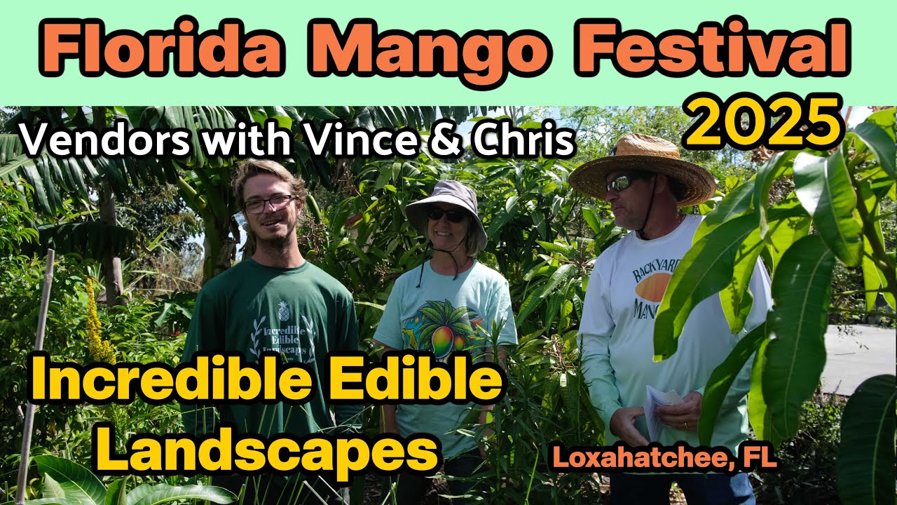 Vince and Chris Visit Florida Mango Festival 2025 Vendors! | Incredible Edible Landscapes
