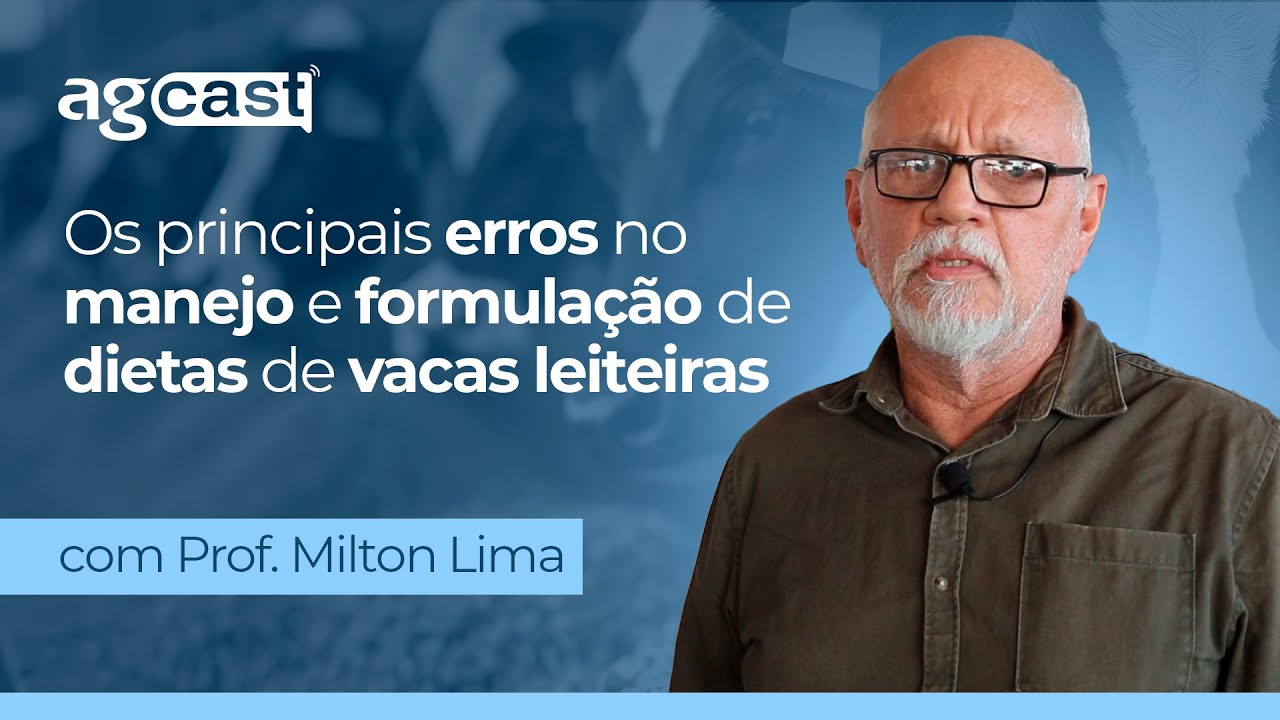 agCast | Por que suas vacas n&atilde;o performam? Falhas comuns na dieta e no manejo