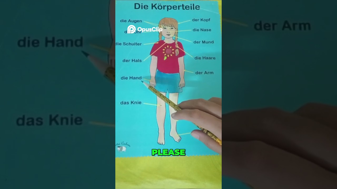 Learn Body Parts in German | Easy Guide for Beginners