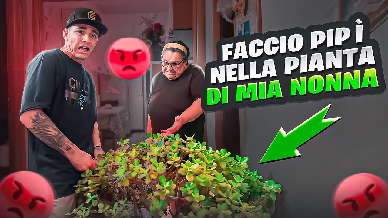 😱PRANK A MIA NONNA* faccio &ldquo;PIP&Igrave;&rdquo; nelle piante di CASA SUA😱😡
