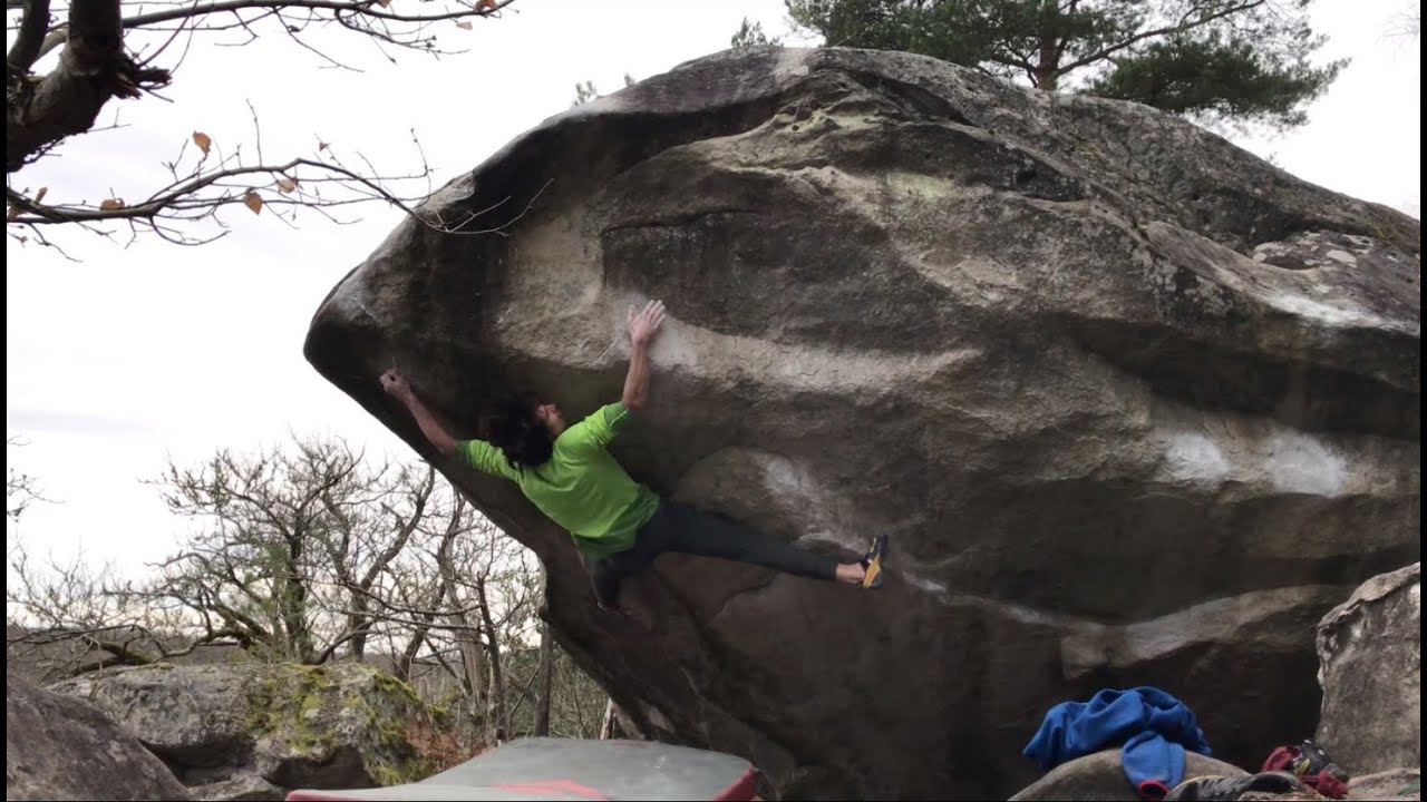 Fontainebleau - Winter 2020