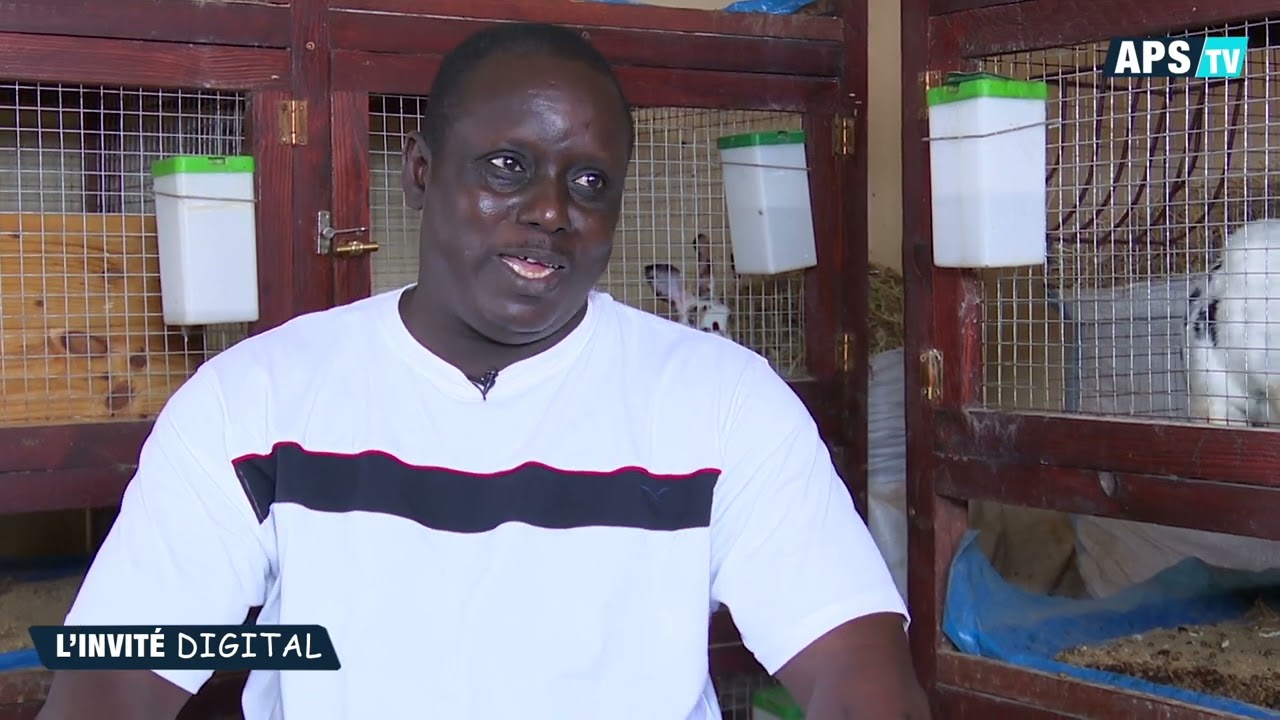 INVITÉ DIGITAL : Cuniculture au Sénégal: entre opportunités et contraintes