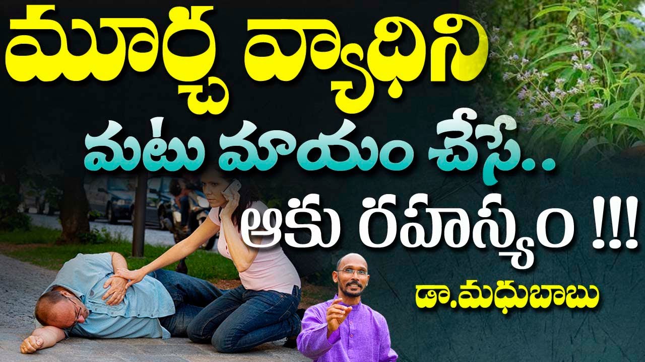 మూర్ఛ వ్యాధిని మటు మాయం చేసే  ఆకు రహస్యం !! | Dr. Madhu Babu | Health Trends |