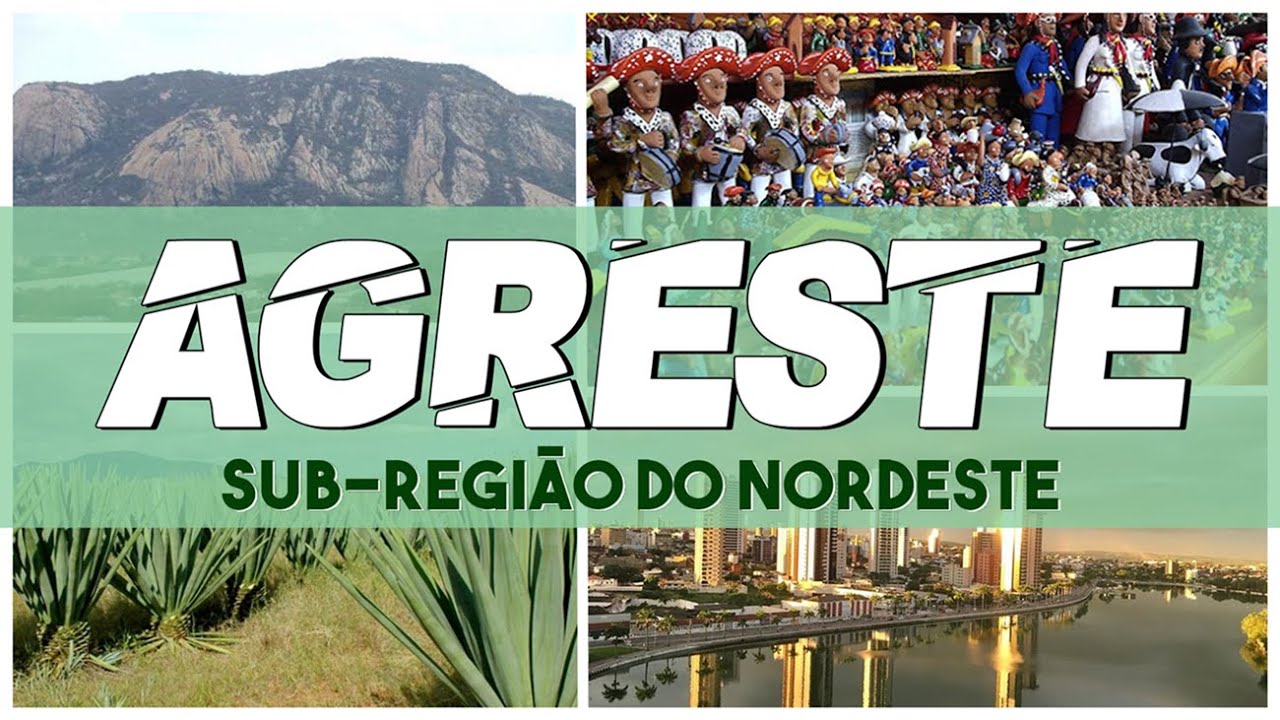 As sub-regi&otilde;es do Nordeste: Agreste