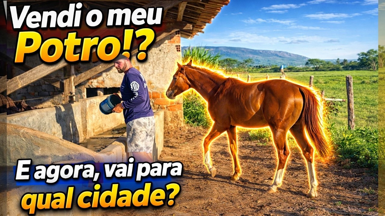 VENDI MEU POTRO!? RECADO IMPORTANTE!