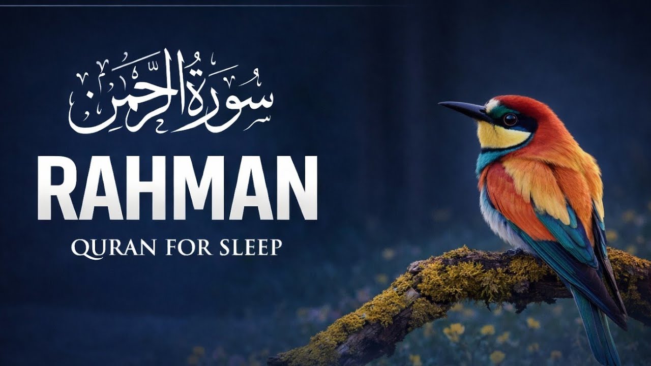 Surah Ar-Rahman – Quran For Sleep | Peaceful & Relaxing Recitation 🌙