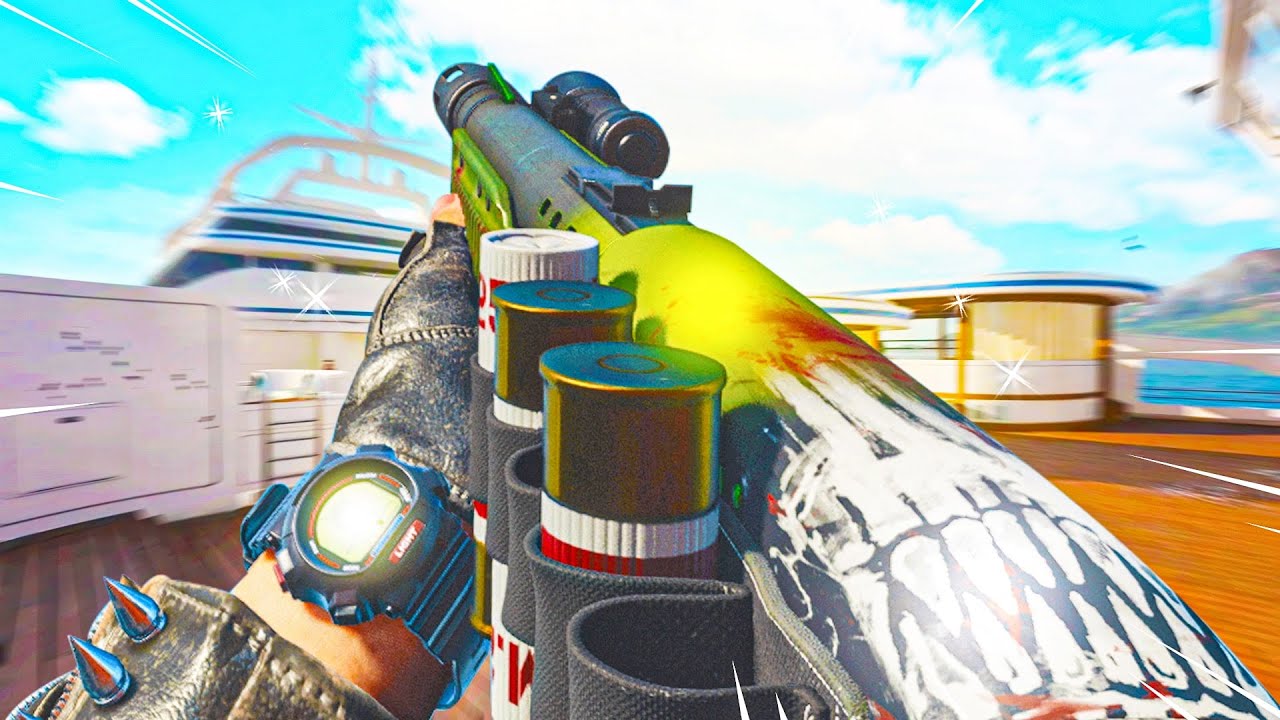 #1 Hauer 77 Class Setup in Cold War! (Best Hauer 77 Class Setup)