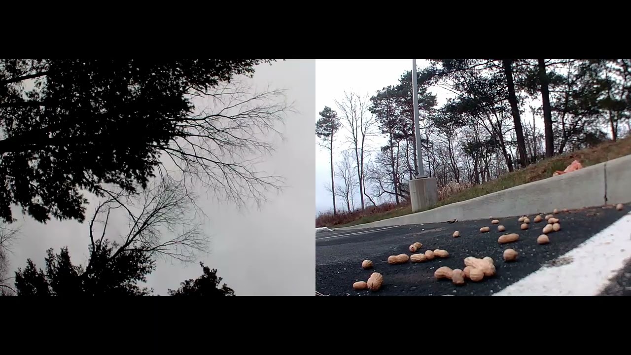 get cha’ peanuts part 3