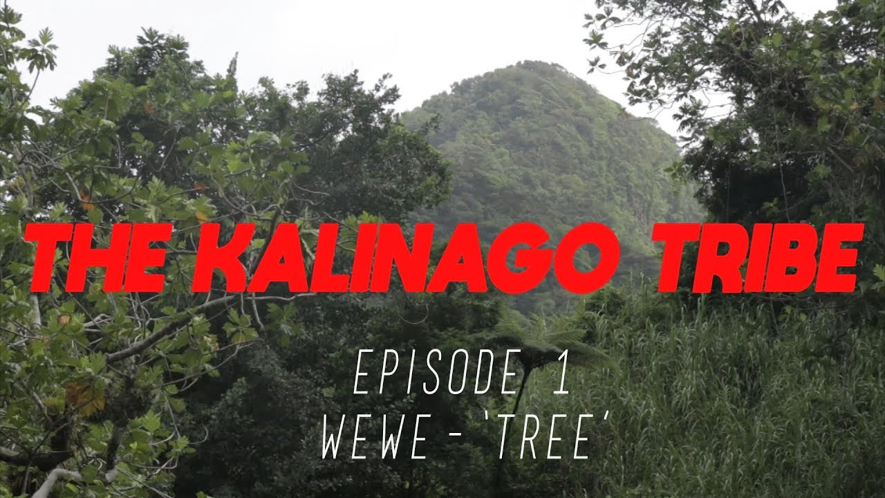 The Kalinago Tribe: Episode 1 