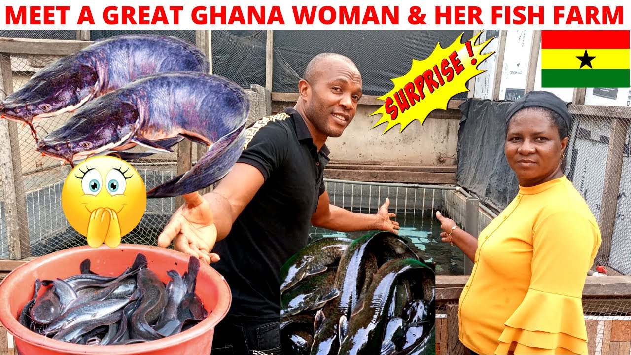 MEET A GREAT GHANAIAN WOMAN AND HER FISH FARM 😲|| AFRICAN WOMEN ARE STRONG & PRODUCTIVE