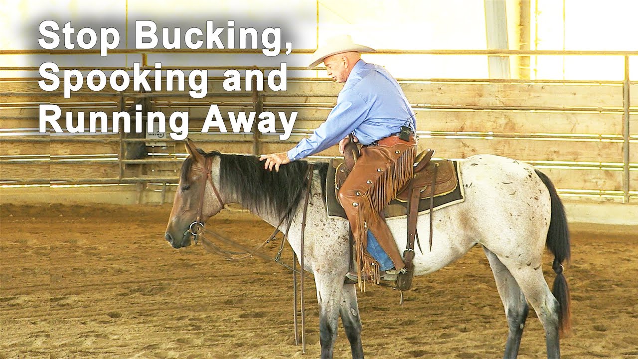 Rider Confidence - How To Safely Stop A Horse From Bucking, Spooking Or Running Away