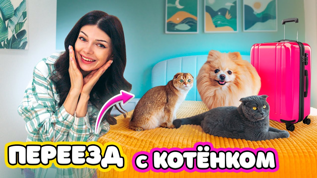 КОТЕНОК ПЕРЕЕХАЛ в НОВЫЙ ДОМ | ПЕРЕЕЗД с ПИТОМЦАМИ | 24 ЧАСА в НОВОЙ КВАРТИРЕ ОДИН ДЕНЬ с ПИТОМЦАМИ