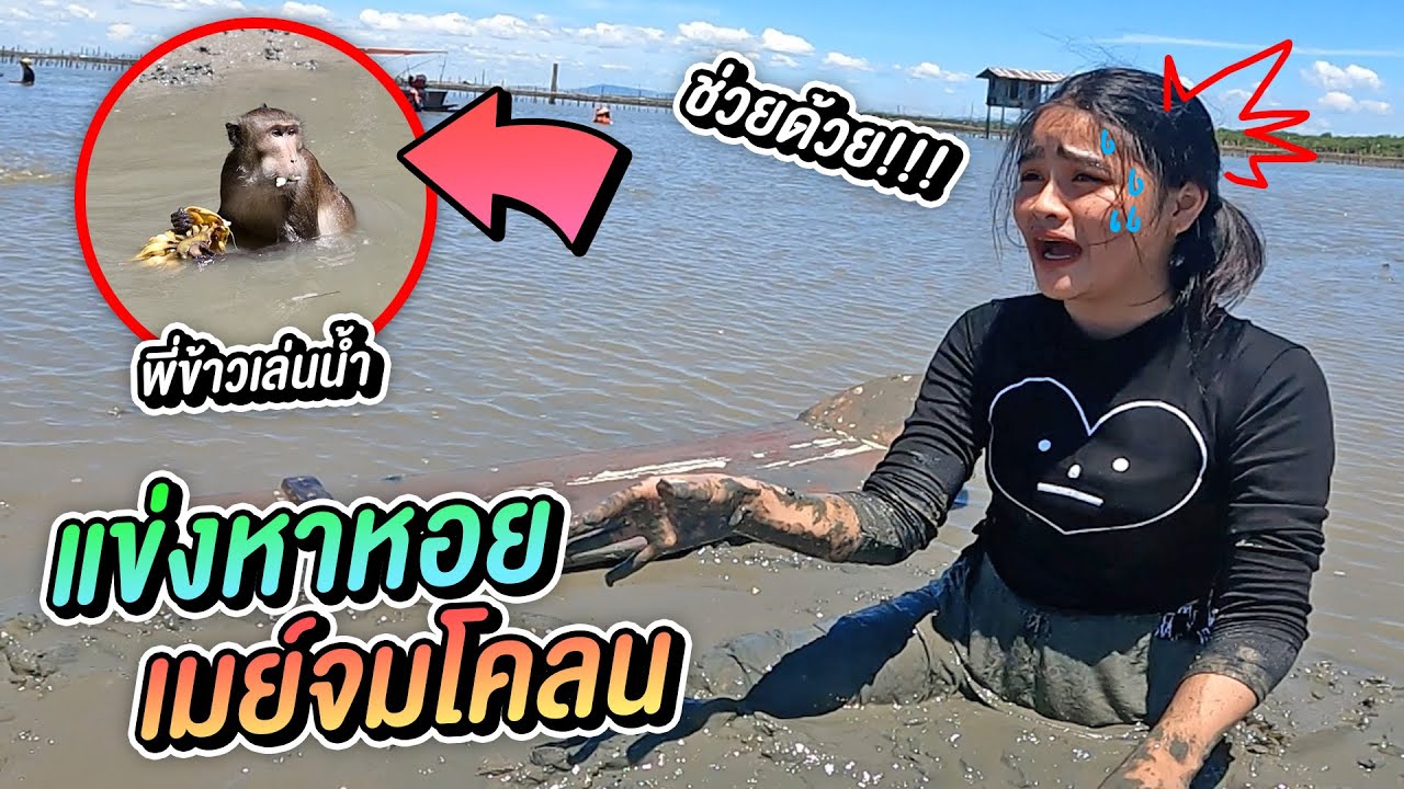 ตะลุยเเข่งจับหอย แครง คลองโคน สมุทรสงคราม  Ep.1