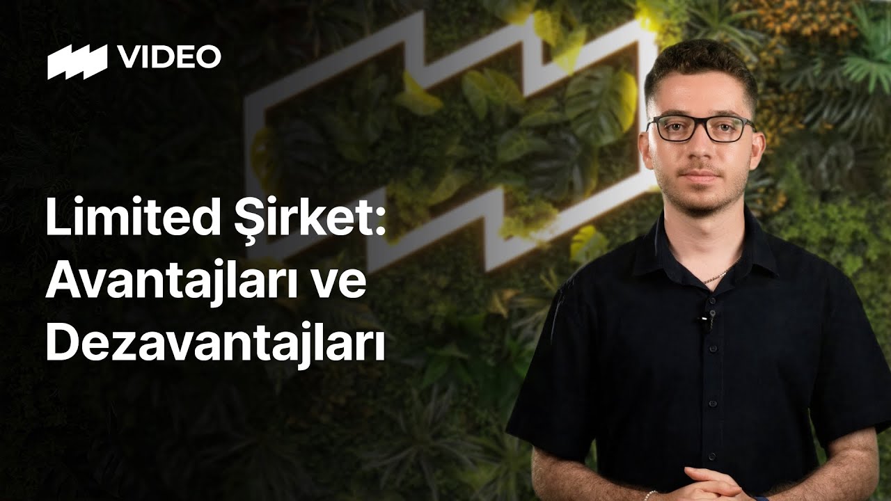 Limited Şirket: Avantajları ve Dezavantajları