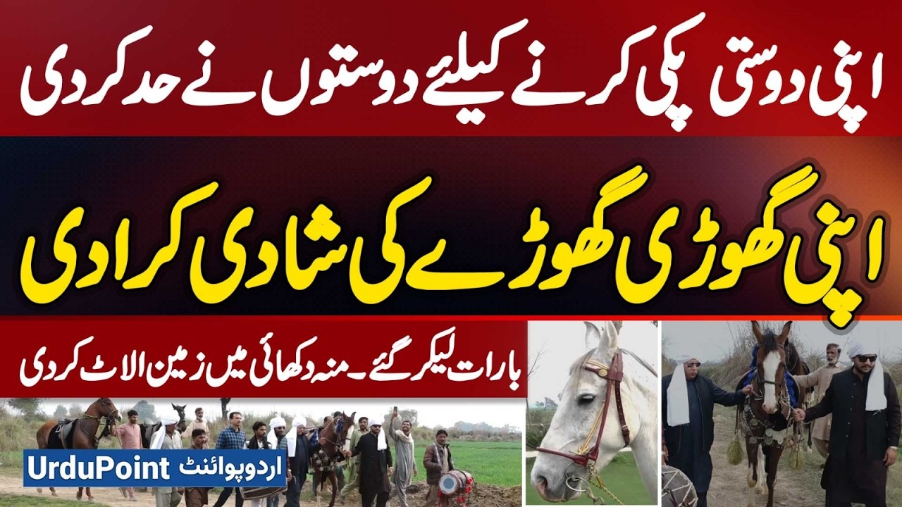 Friendship Goes Another Level, Friends Organized Horse Wedding With Baraat And Allotted Land As Gift