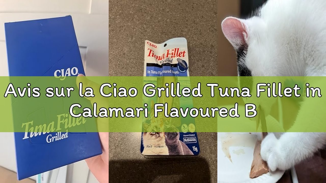 Avis sur la Ciao Grilled Tuna Fillet in Calamari Flavoured Broth by INABA – 1 Pack 15g / Cat Treat,