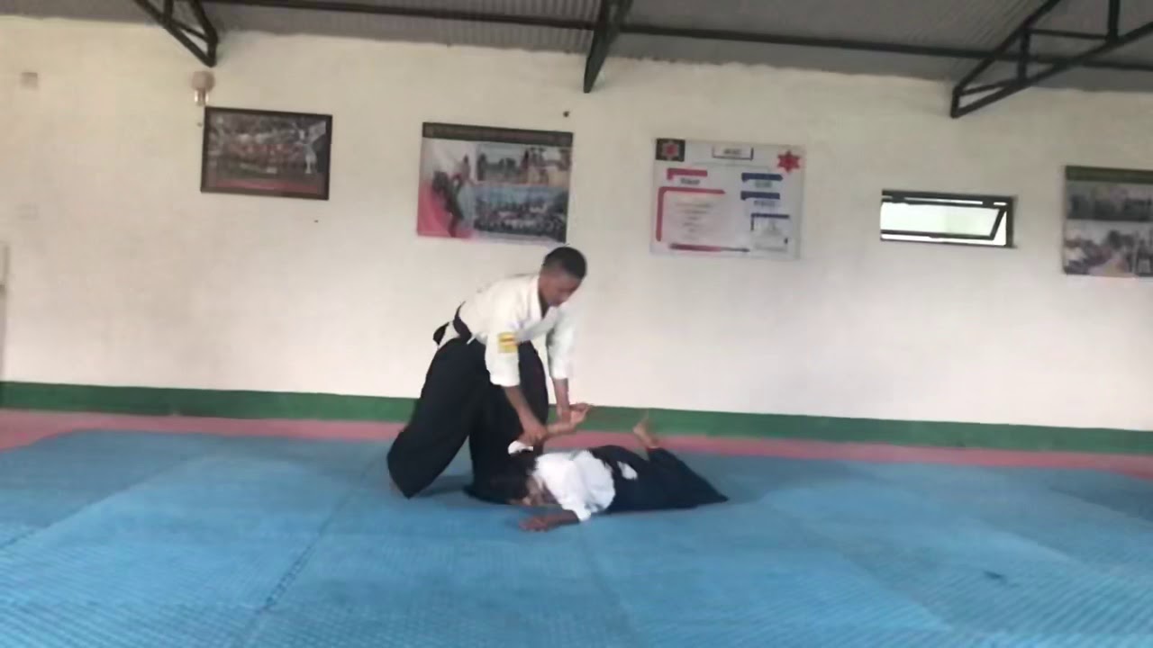 Emily K9 Aikido Dojo 