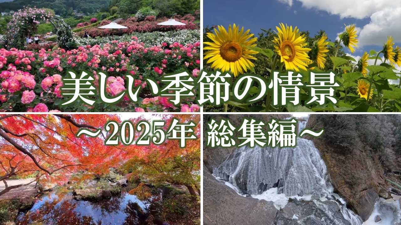 美しい季節の情景　～2025年 総集編～ ／Scenery of a beautiful season, 2025 Year in Review