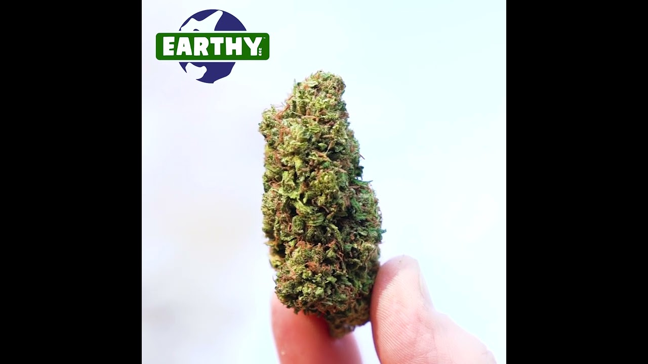 Forbidden V, Premium Cannabis Flower, High CBD, Low THC. 100% Federally Legal.