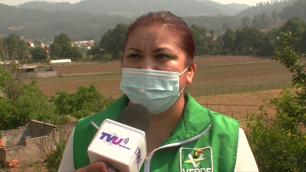 Hacer de Texcaltitlán un municipio verde