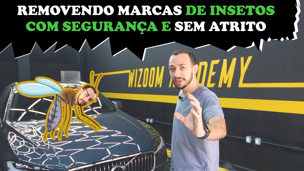 COMO TIRAR INSETOS DA PINTURA DO CARRO | Resolva fácil de maneira segura e profissional!