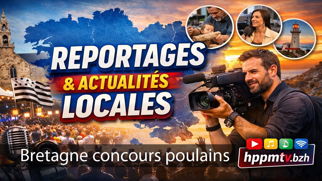 bretagne concours de poulains