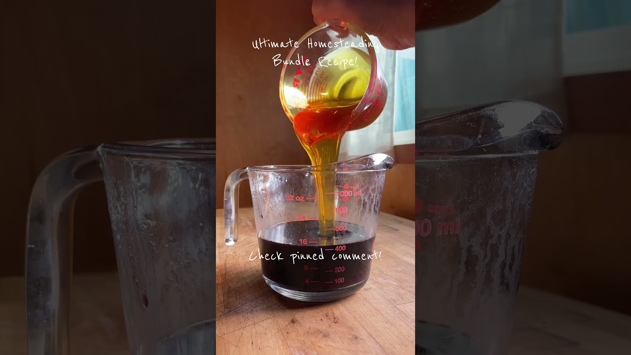 One of the many recipes available! #shorts #homesteading #recipe #bundledeals #elderberry #health