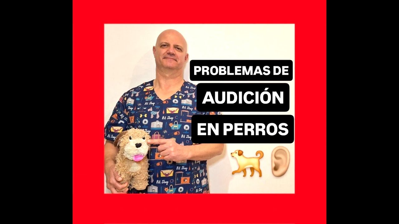 Problemas de audición en perros.