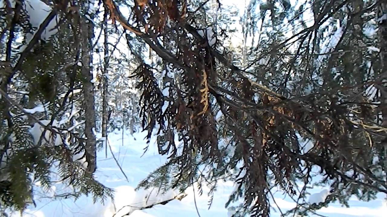 Winter Camping in Northern Michigan.
