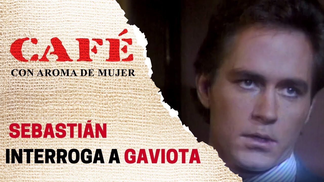 Sebastián le pregunta a Gaviota por qué se fue sin despedirse | Café, con aroma de mujer