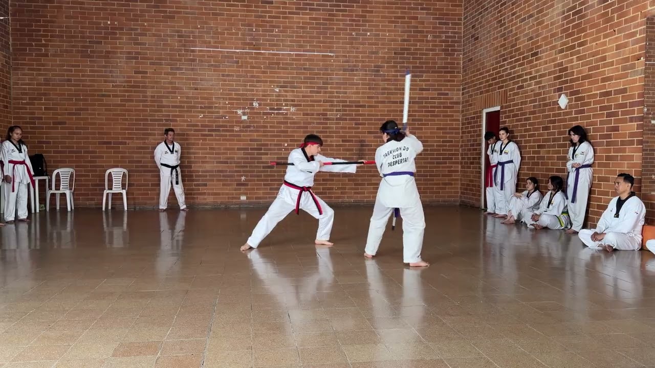 Presentación grupo de estudiantes 2025-2 - Academia Taekwondo Club Despertar 