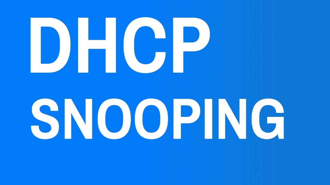 IP DHCP Snooping