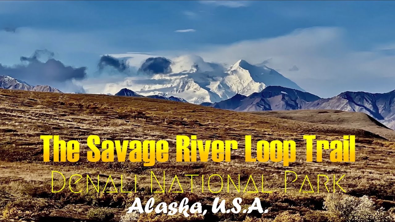Denali National Park 4K (Sept. 2021): Hiking The Savage River Loop Trail & Jenny Creek (short-form)