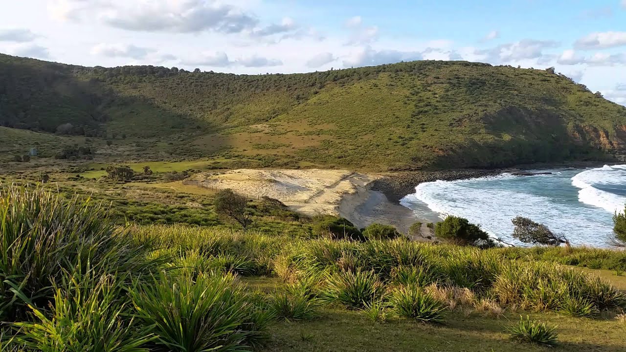 #42 North Era Beach - Hearth Cooking Stone