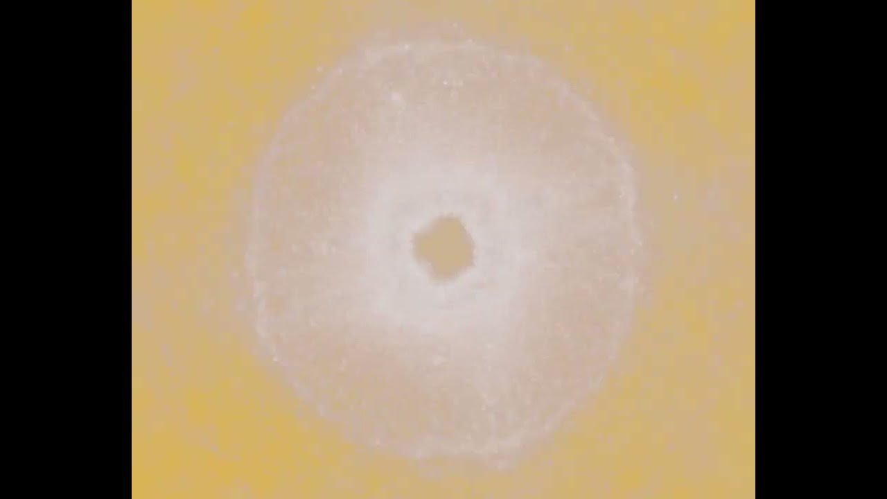 Натали - Гармония