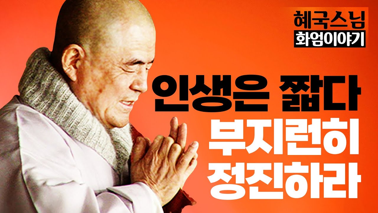 [#혜국스님] 내가 만난 인연, 나에게 오는 일들을 모두 받아들일 준비가 되었는가 #화엄이야기 (21회)