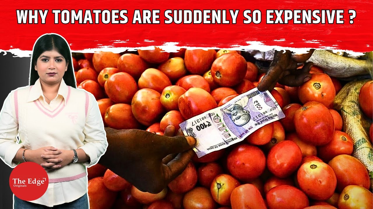 Why Tomato Prices Jumped 100% in 30 Days | Full Breakdown