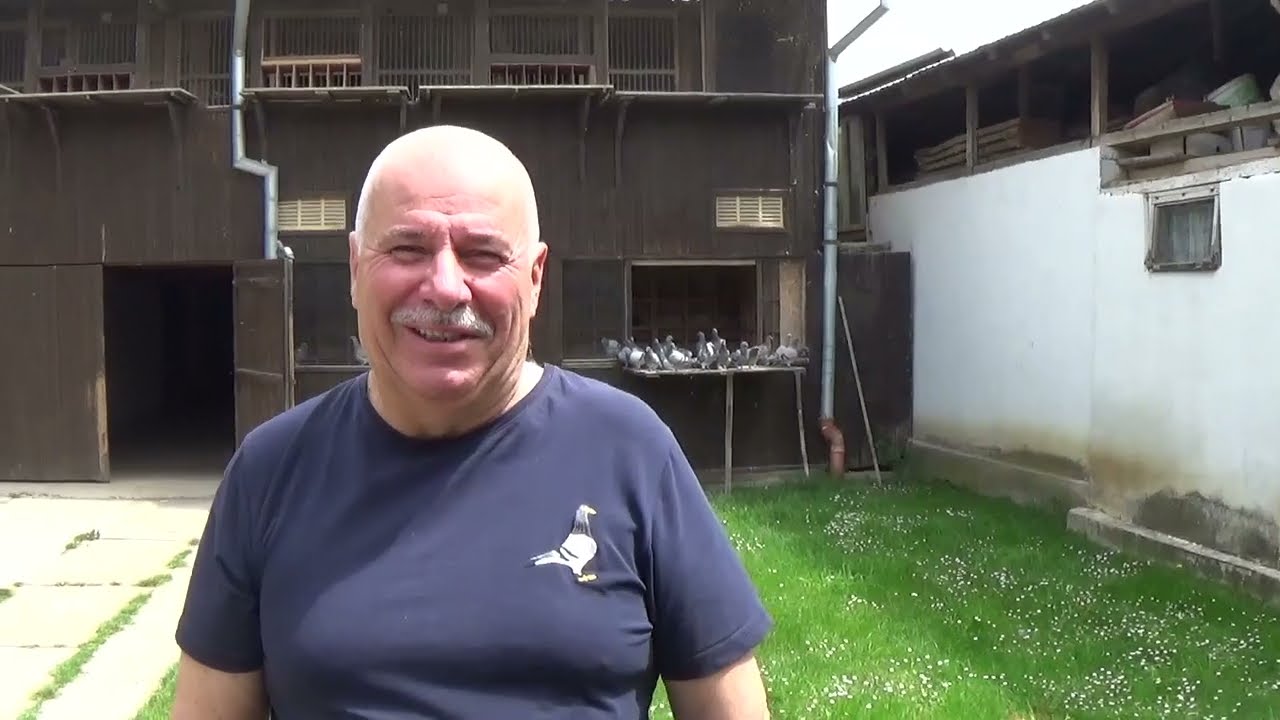 Interviu columbofil dl Andrei Marius Dambovita Romania 10 iunie 2022
