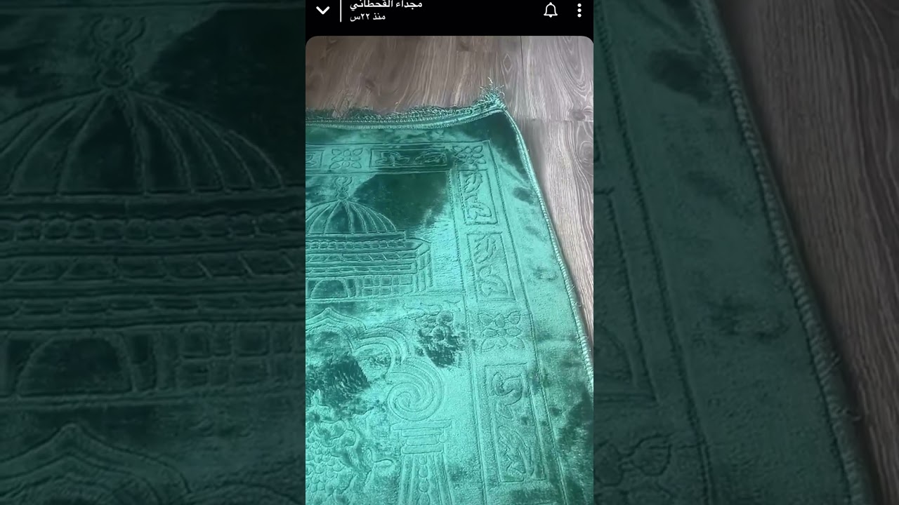 مجداء القحطاني .. سالفه