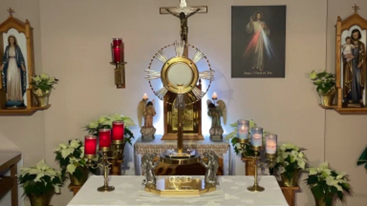 LIVE Eucharistic Adoration - Sisters of Divine Mercy
