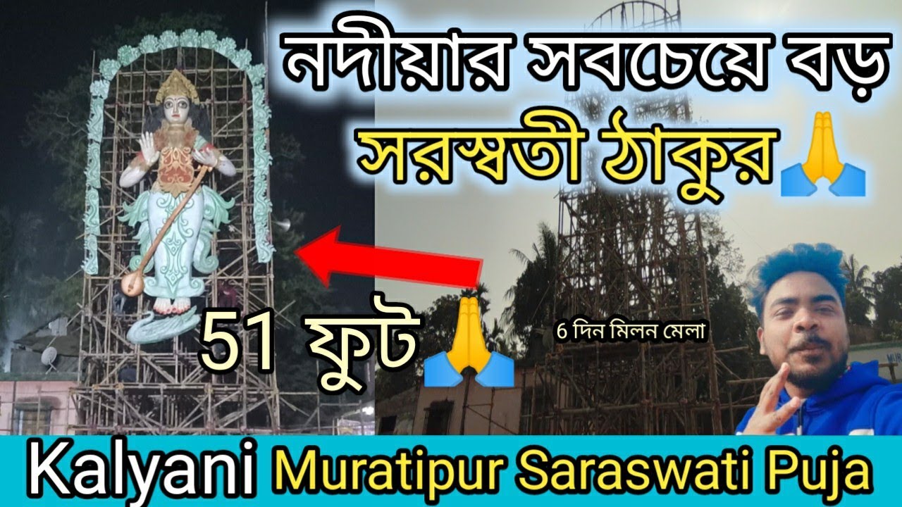 নদীয়ার সবচেয়ে বড় সরস্বতী ঠাকুর🙏| 51 ফুট | Kalyani Muratipur Saraswati Puja Theme 2026❤| Kalyani