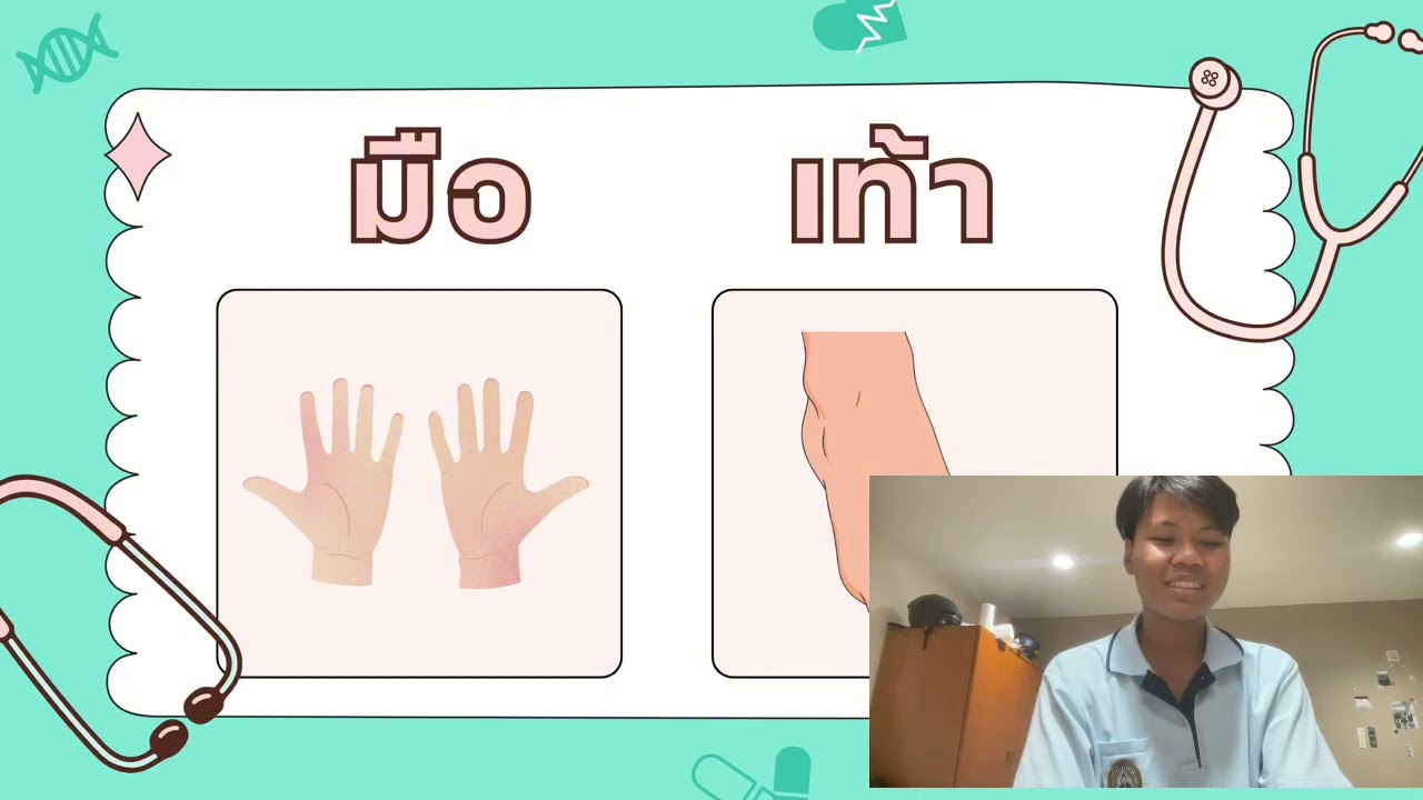 วิชาสุขศึกษา เรื่องอวัยวะภายนอกของร่างกายbyครูนุ๊ก
