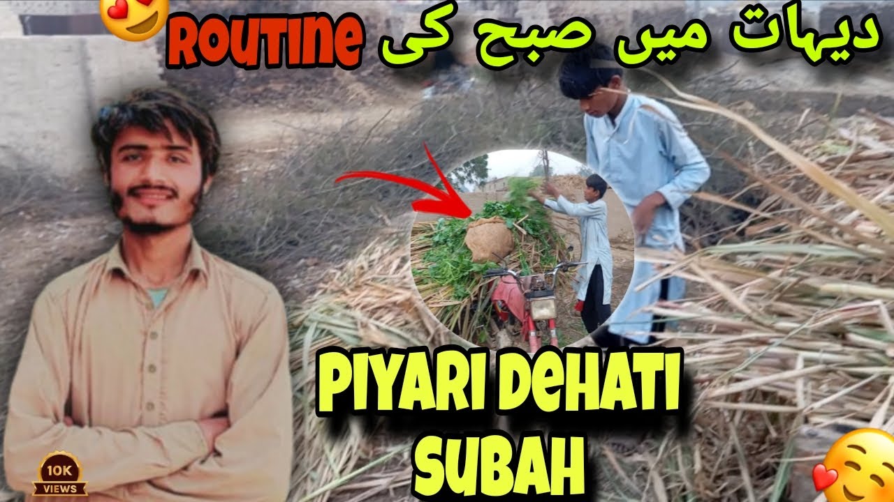 Piyari Dehati Subah | Gaon Min Ghar Ka Kaam | Sikandar Rafiq 