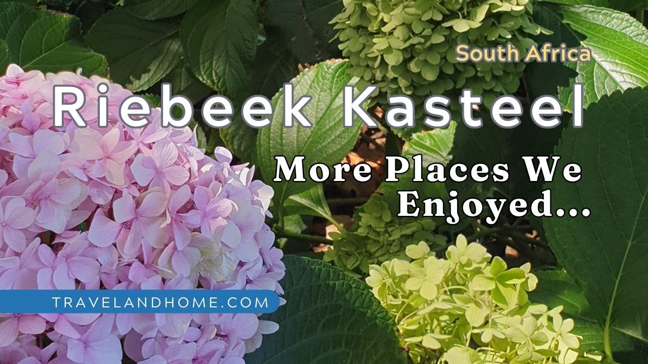 More Beautiful Places in Riebeek Kasteel: Wine, Olives & Local Finds