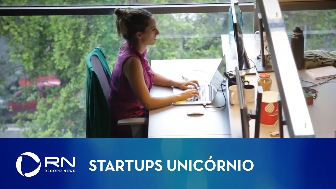 Saiba o que s&atilde;o startups unic&oacute;rnio