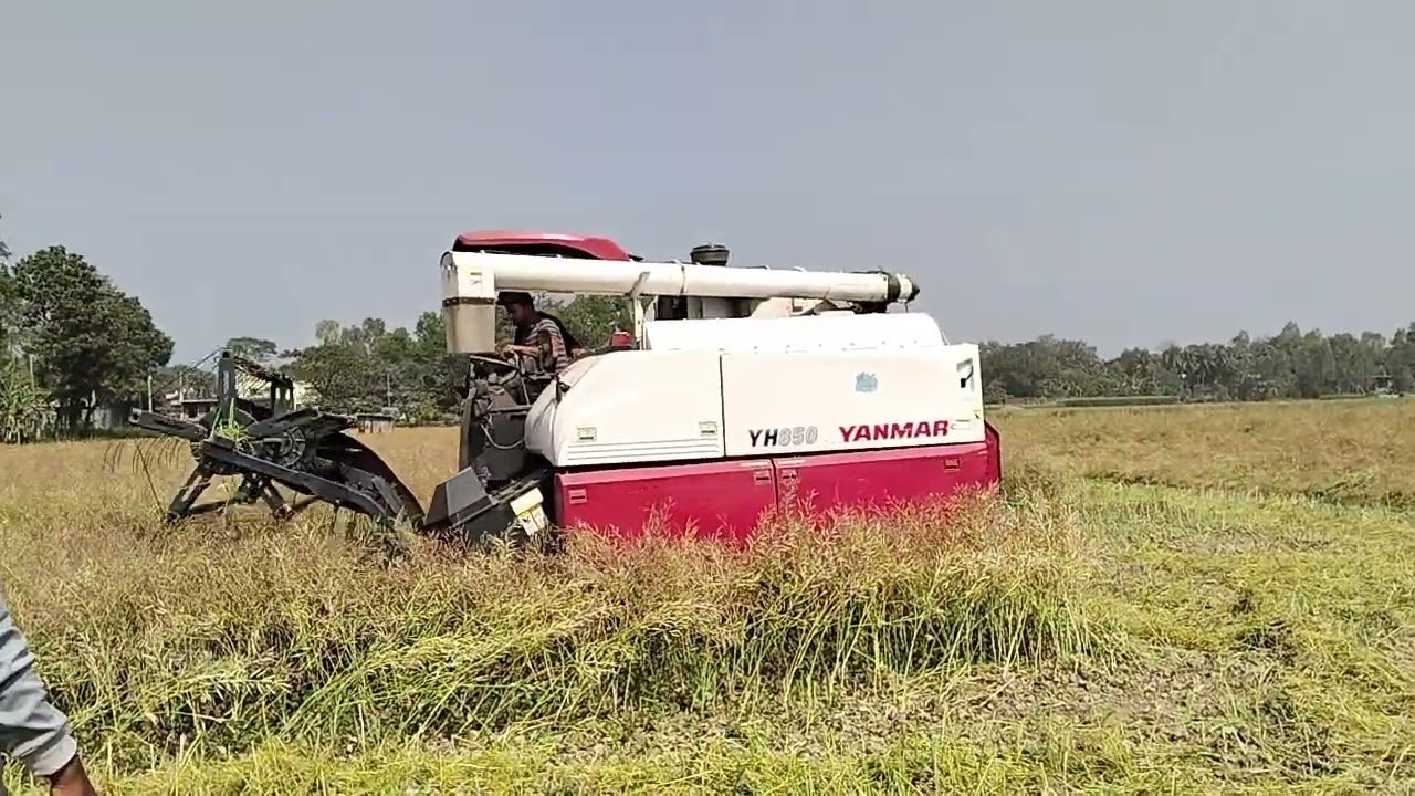 সরিষা  মারাই করার  মেশিং বের হয়েছে  নতুন। 