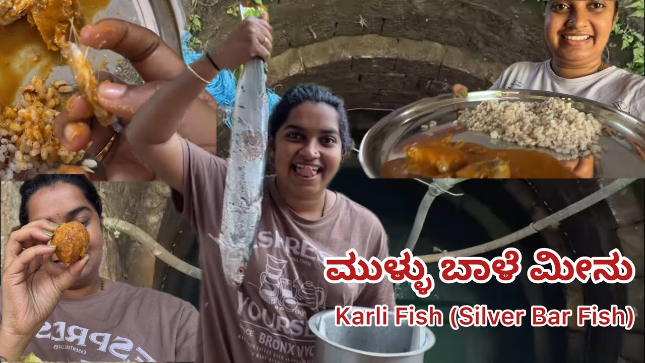Karli Fish (Silver Bar Fish) Curry | DIVI Vlogs