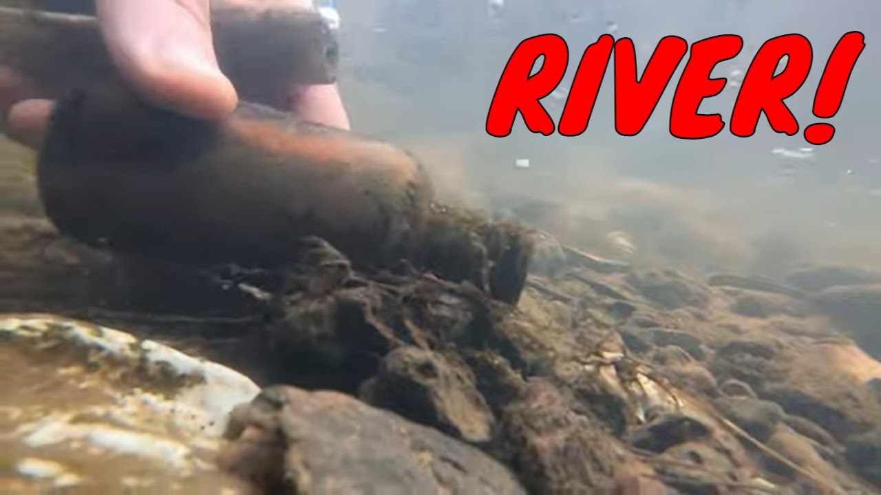 Old rubbish dump finds underwater - East Riddlesden Hall